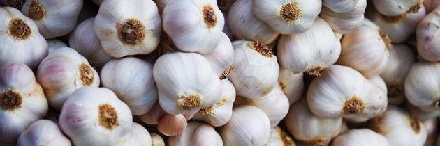 Garlic - Vital Plan