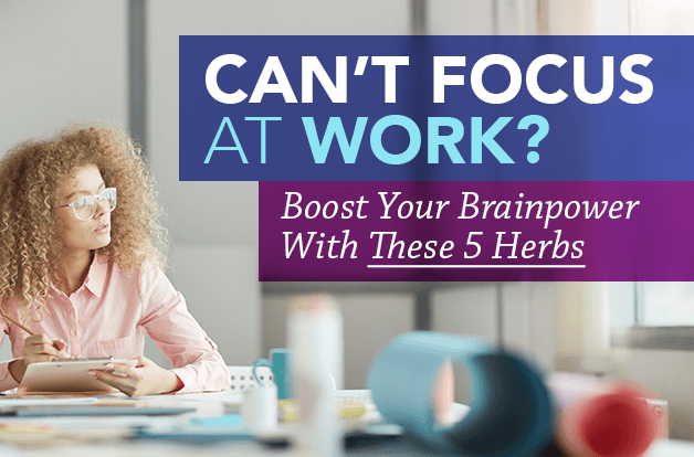 Can’t Focus at Work? Boost Your Brainpower with These 5 Herbs - Vital Plan