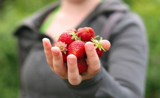 Are Organic Foods Worth the Extra Cost? - Vital Plan