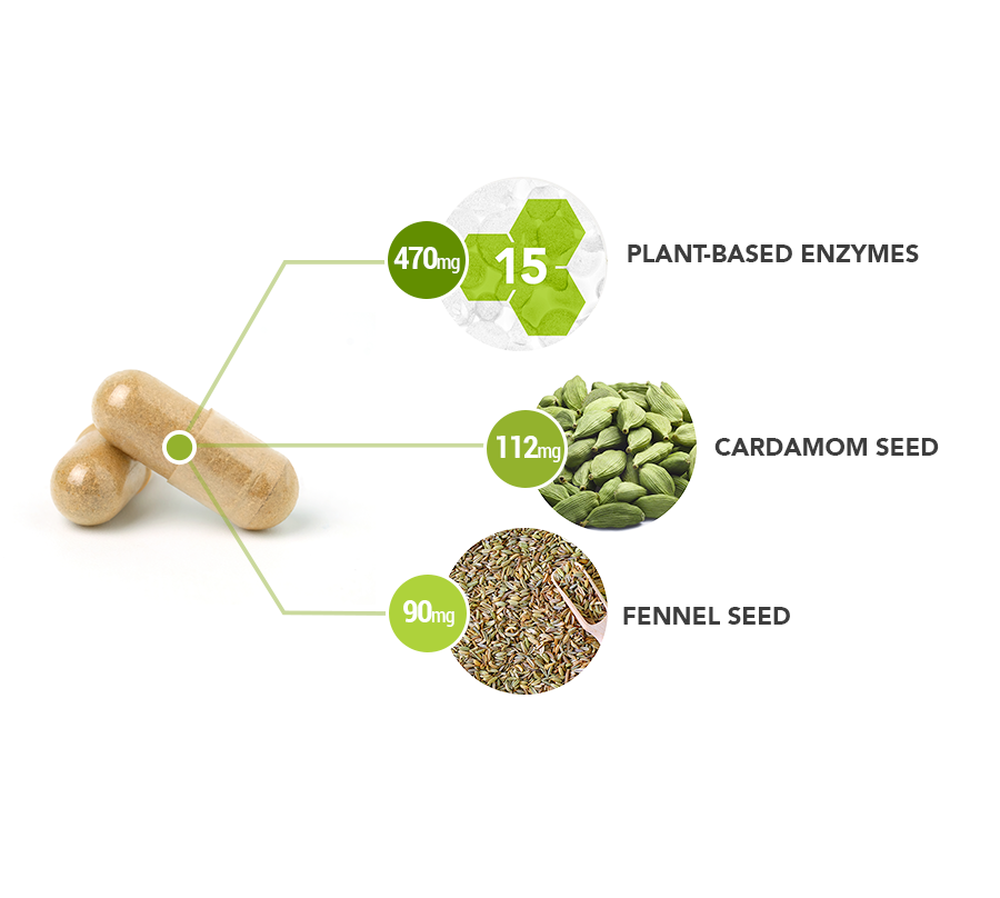 Active-Enzymes-capsule-ingredient-breakdown-square - Vital Plan