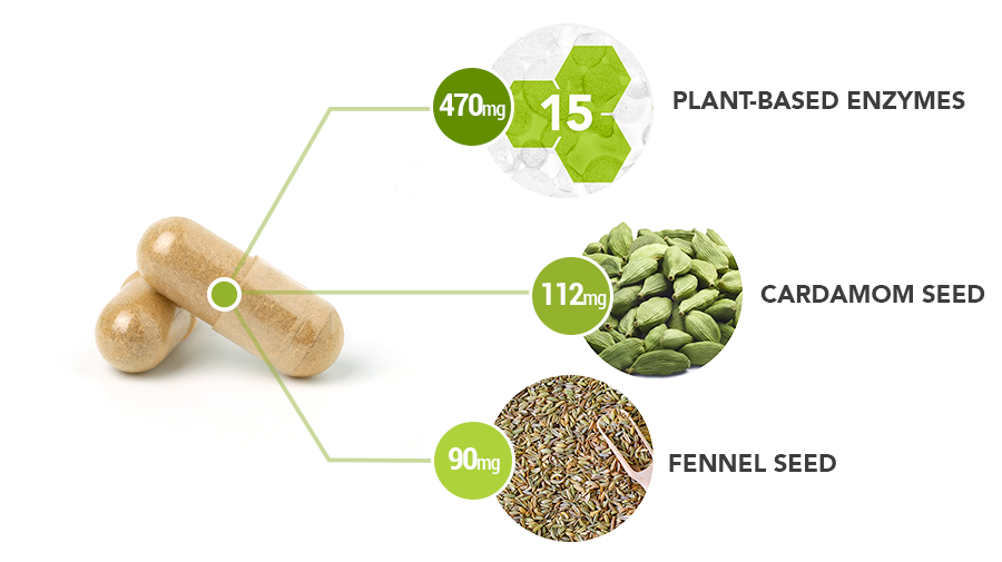 Active-Enzymes-capsule-ingredient-breakdown - Vital Plan