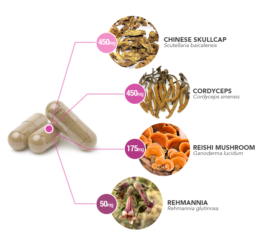 Adaptogen-revovery-capsule-ingredient-breakdown - Vital Plan