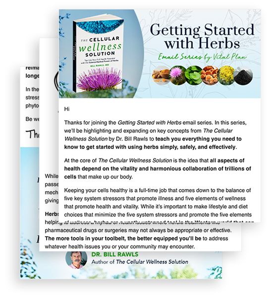 CWS_Getting_Started_with_Herbs_Email_Series - Vital Plan