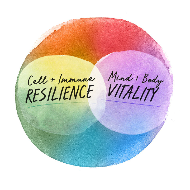 Cell_Immune_Resilience_mind_body_vitality - Vital Plan