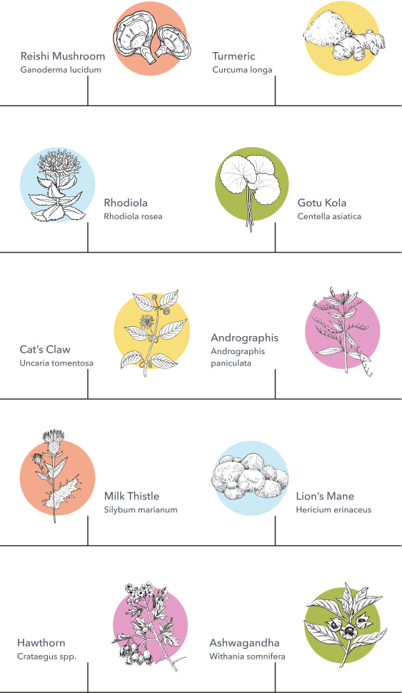 Frame_223 - Vital Plan