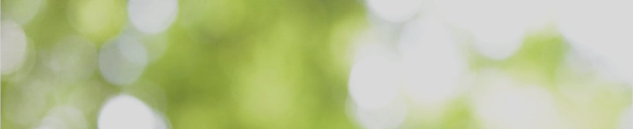 Frame_6 - Vital Plan