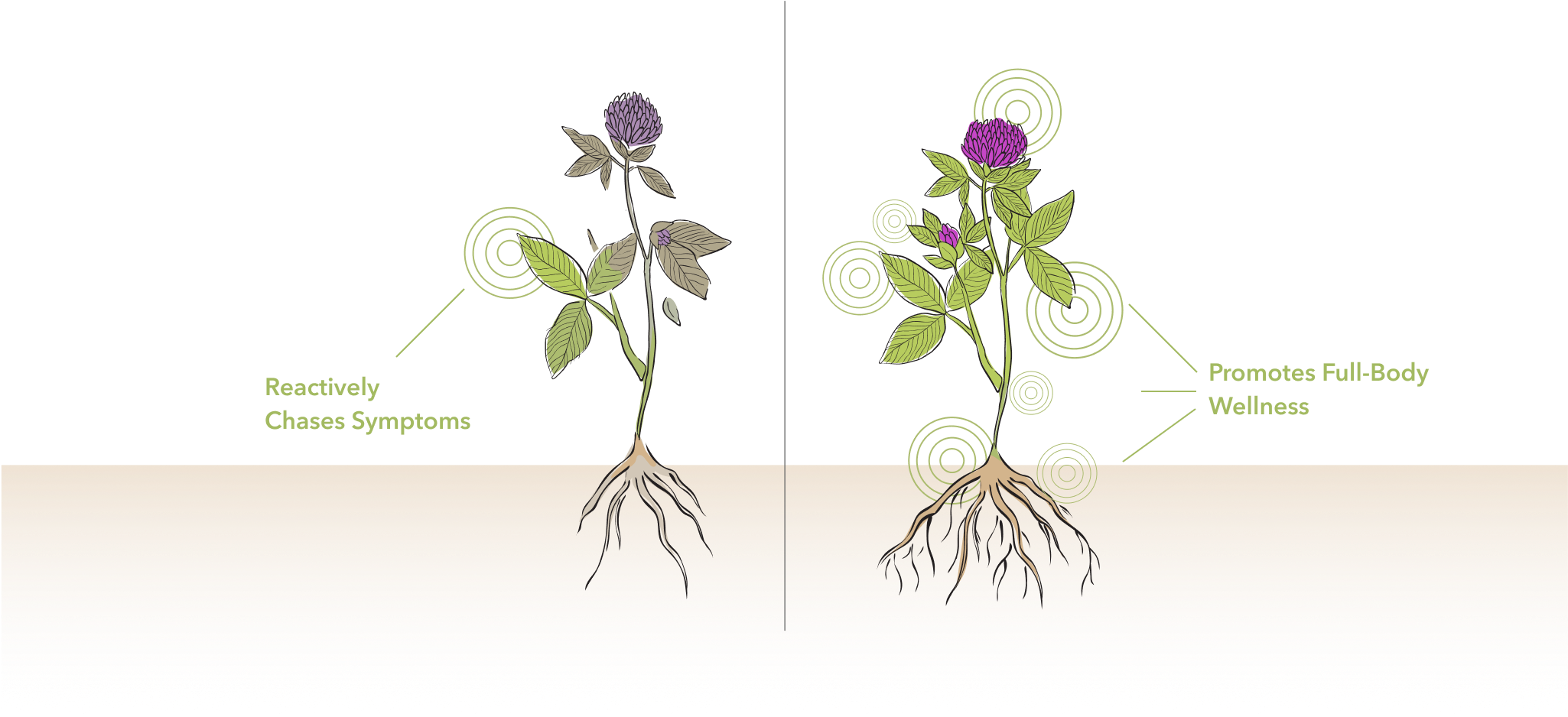 Group_13_2 - Vital Plan