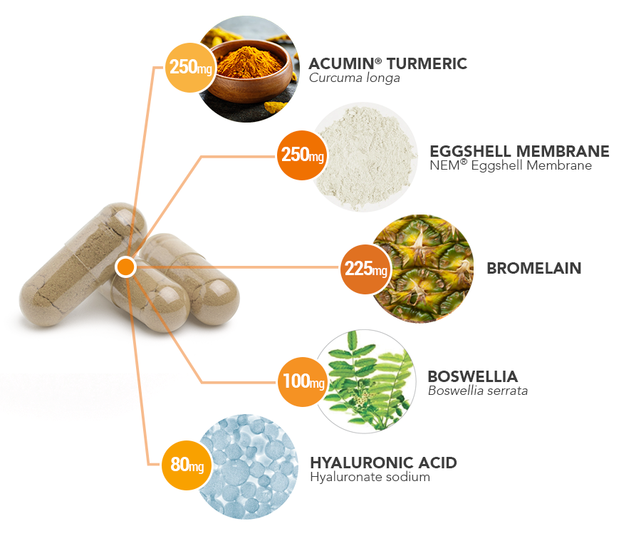 Joint-Care-capsule-ingredient-breakdown - Vital Plan