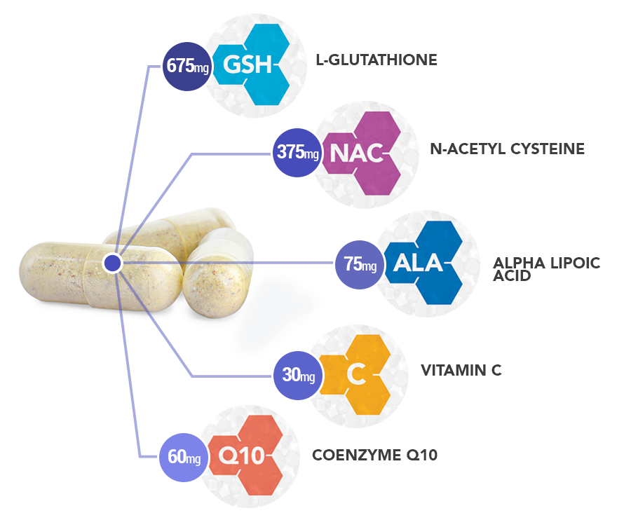 Mitochondrial-Support-ingredient-breakdown-capsule-copy - Vital Plan