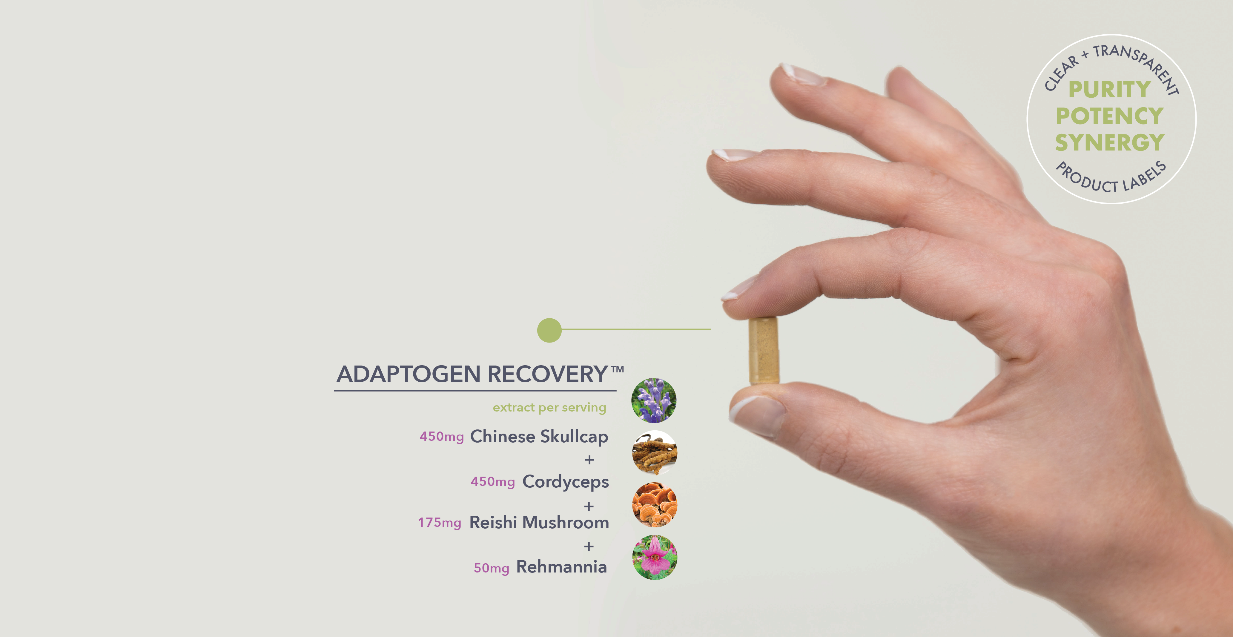 VitalPlan_AdaptogenRecovery-01 - Vital Plan