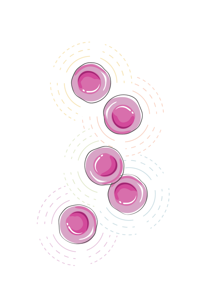 VitalPlan_CellsA_transparent-01 - Vital Plan