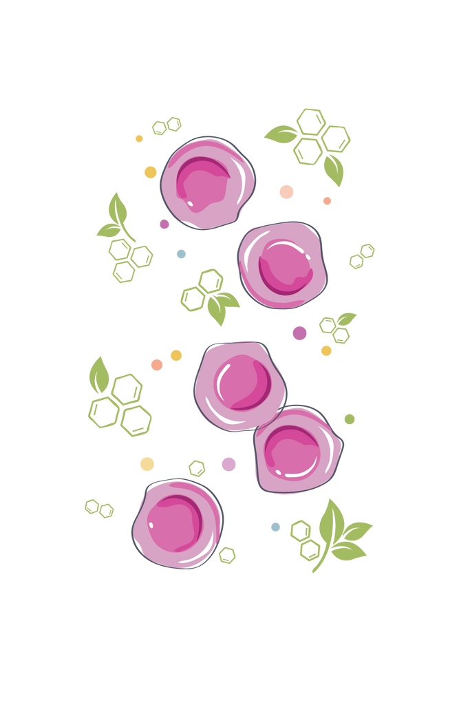 VitalPlan_CellsD_Transparent-01 - Vital Plan