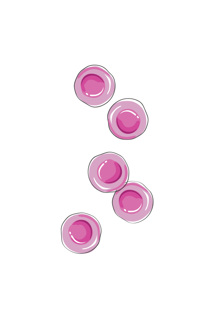 VitalPlan_CellsE_Transparent-01 - Vital Plan