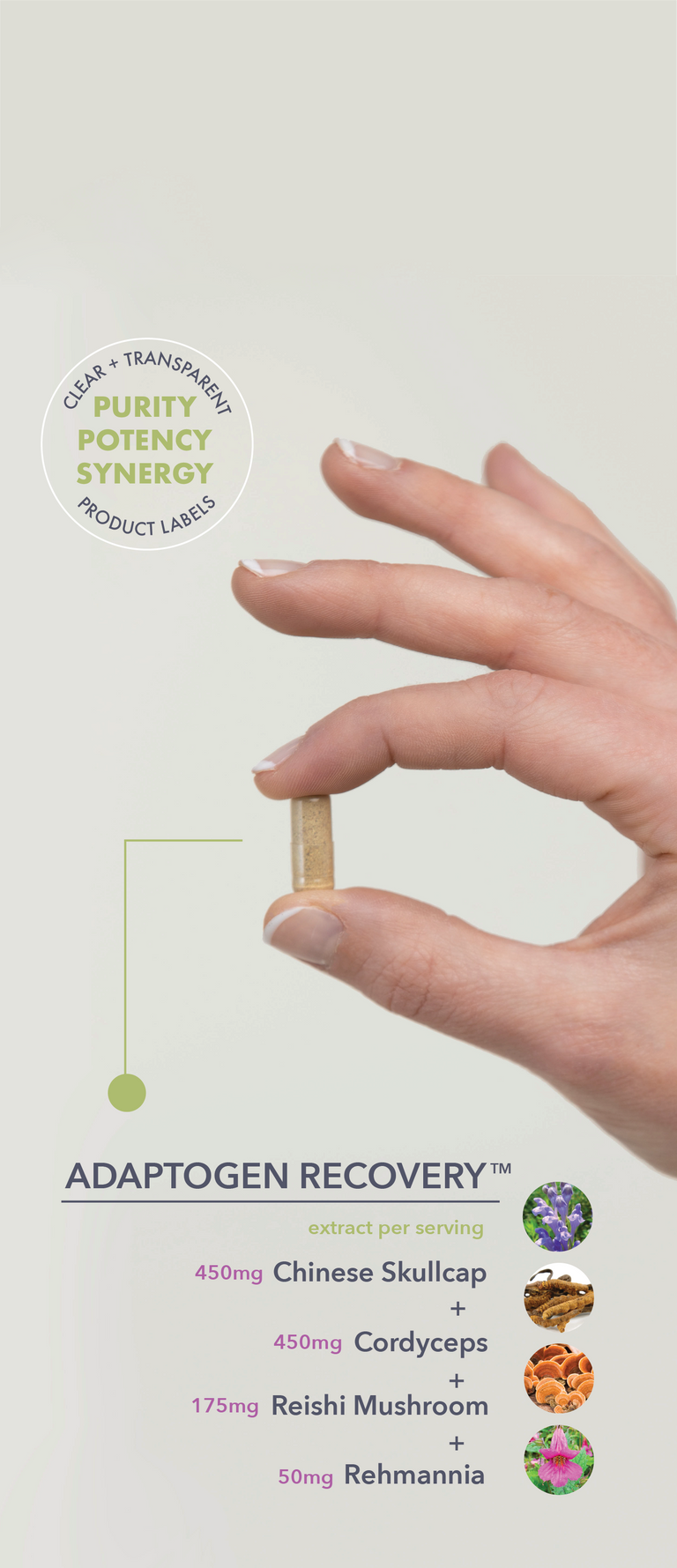 VitalPlan_SupplementMobile-01 - Vital Plan