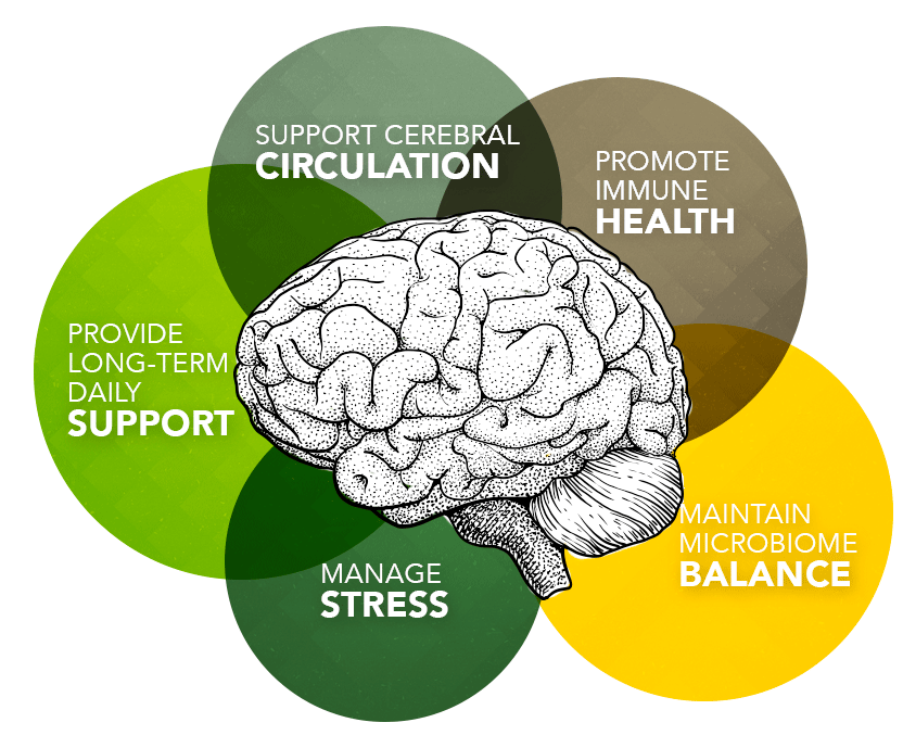 brain-boost-formulation-checklist - Vital Plan