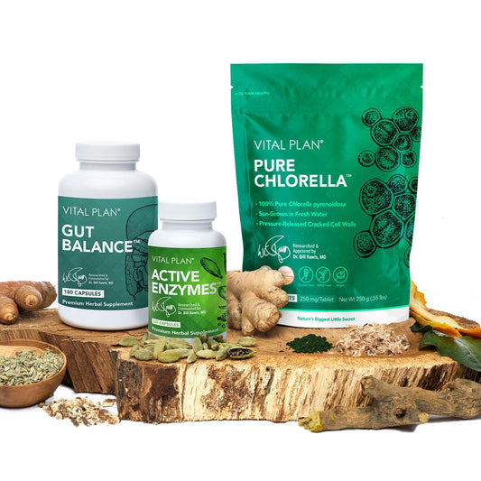 Gut Revival Kit - Vital Plan