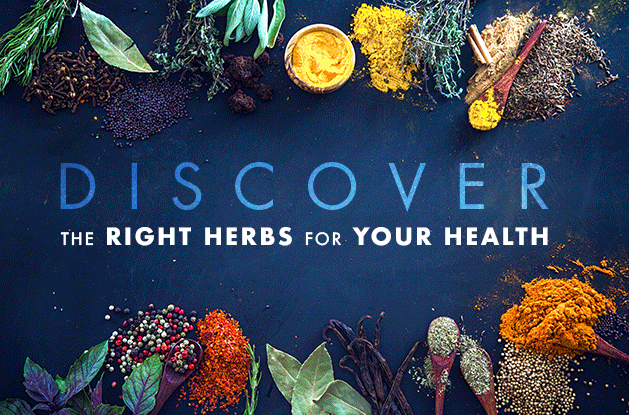 Discover The Right Herbs For Your Health
