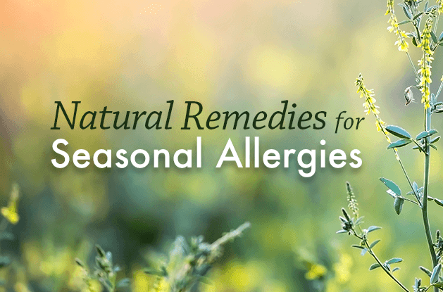 8 Natural Remedies for Seasonal Allergies - Vital Plan