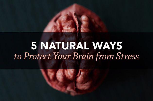 5 Natural Ways to Protect Your Brain from Stress - Vital Plan