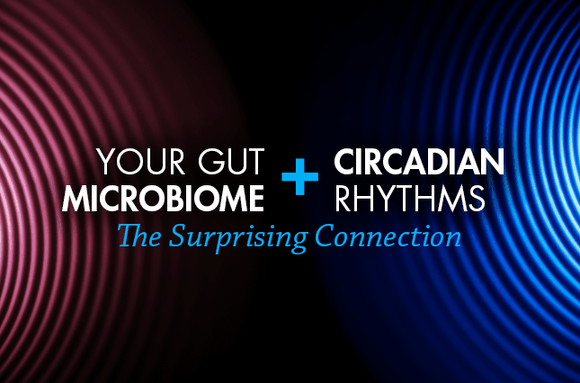 Your Gut Microbiome + Circadian Rhythms: The Surprising Connection