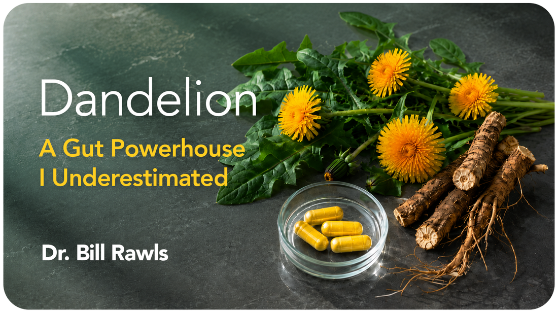 Dandelion: A Gut Powerhouse I Underestimated