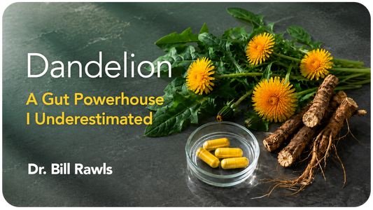 Dandelion: A Gut Powerhouse I Underestimated