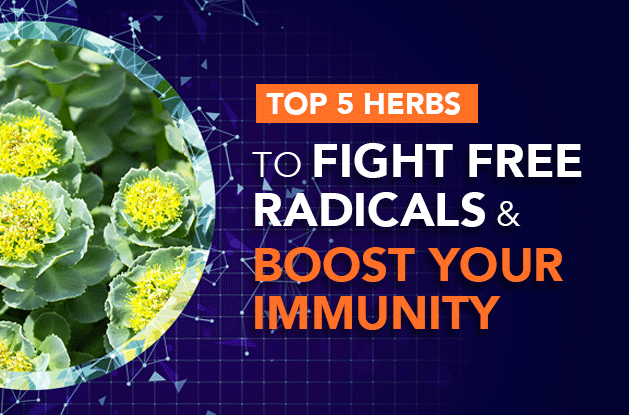 Top 5 Herbs to Fight Free Radicals and Boost Your Immunity - Vital Plan