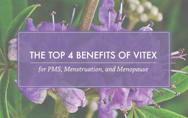 The 4 Menstrual and Menopausal Conditions Vitex Supports - Vital Plan