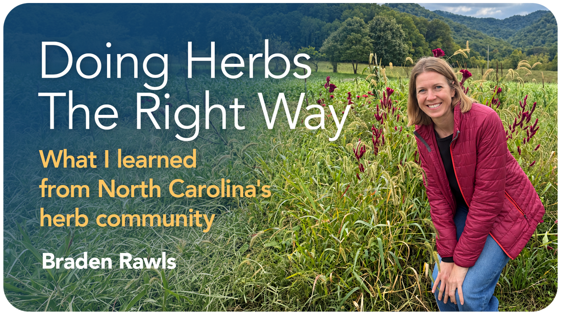 Doing Herbs the Right Way