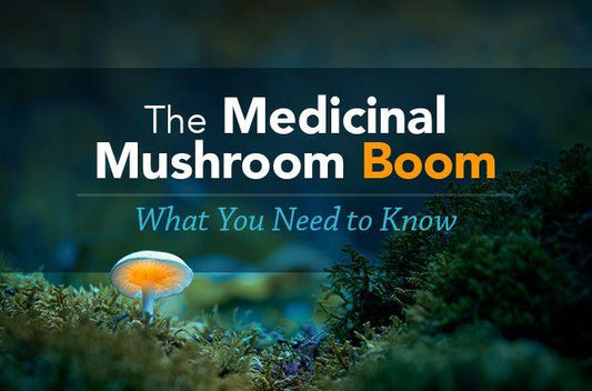 The Medicinal Mushroom Boom: What You Need to Know - Vital Plan