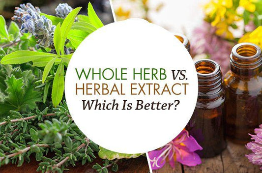 Whole Herb Vs. Herbal Extract: Which is Better? - Vital Plan