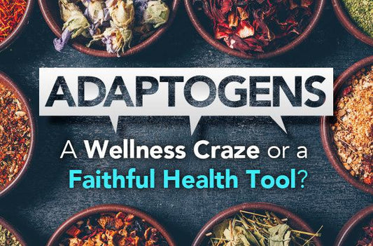 Adaptogens: A Wellness Craze or a Faithful Health Tool? - Vital Plan