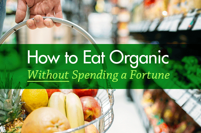 How to Eat Organic Without Spending a Fortune - Vital Plan