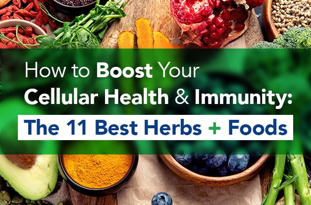 How to Boost Your Cellular Health and Immunity: The 11 Best Herbs + Foods - Vital Plan