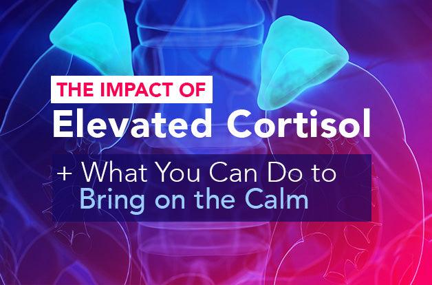 The Impact of Elevated Cortisol + What You Can Do to Bring on the Calm - Vital Plan