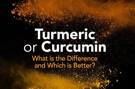 Turmeric or Curcumin: What is the Difference and Which is Better? - Vital Plan