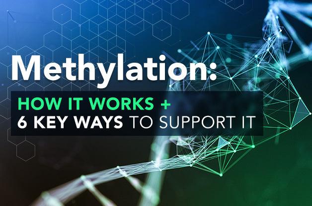 Methylation: How It Works + 6 Key Ways to Support It - Vital Plan