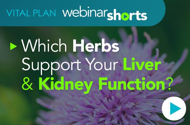 Which Herbs Support Liver and Kidney Function? - Vital Plan