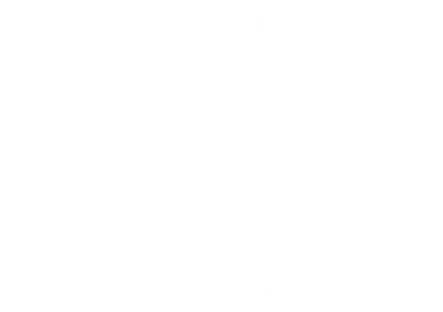 Bcorp-logo-white-Wide-1 - Vital Plan