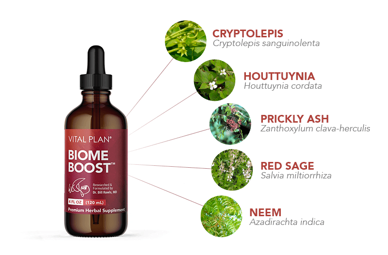 Biome_Boost_Ingredient_Callout - Vital Plan