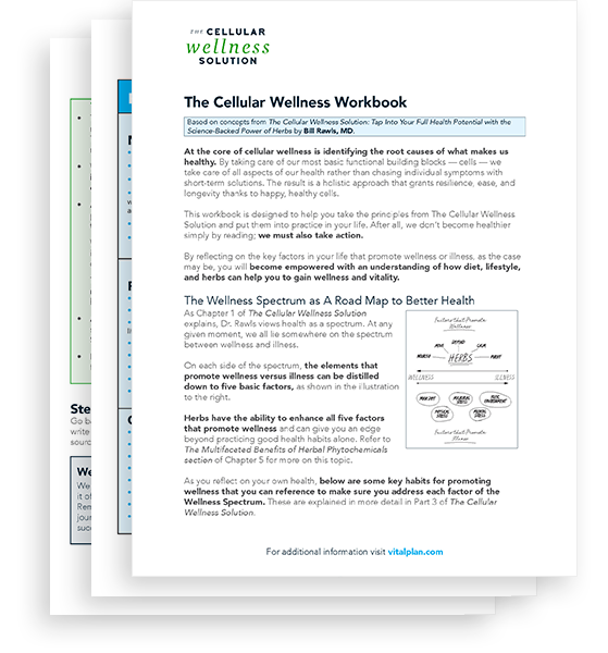 CWS_The_Cellular_Wellness_Workbook_PDF_download_14b1cedc-ab34-4bad-969f-d2bcf78b3187 - Vital Plan