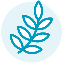 Daily-Herbal-five-essential-herbs - Vital Plan