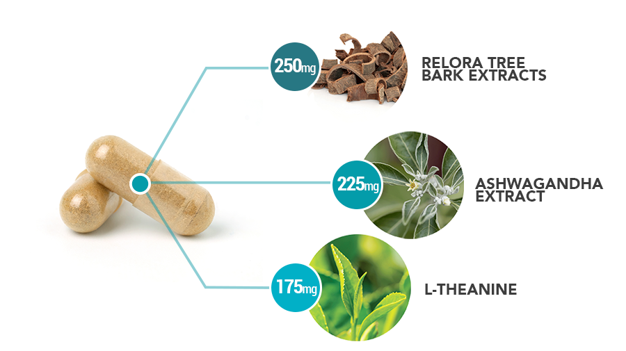 HPA-Balance-capsule-ingredient-breakdown-copy - Vital Plan