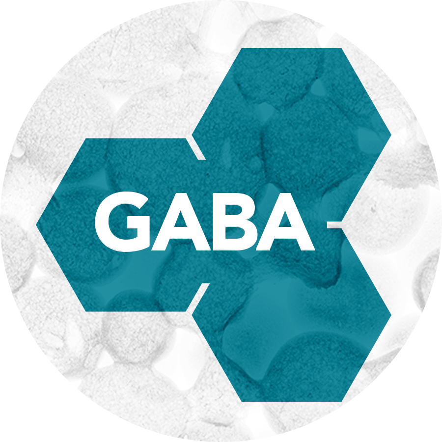 Ingredient-Circle-GABA - Vital Plan