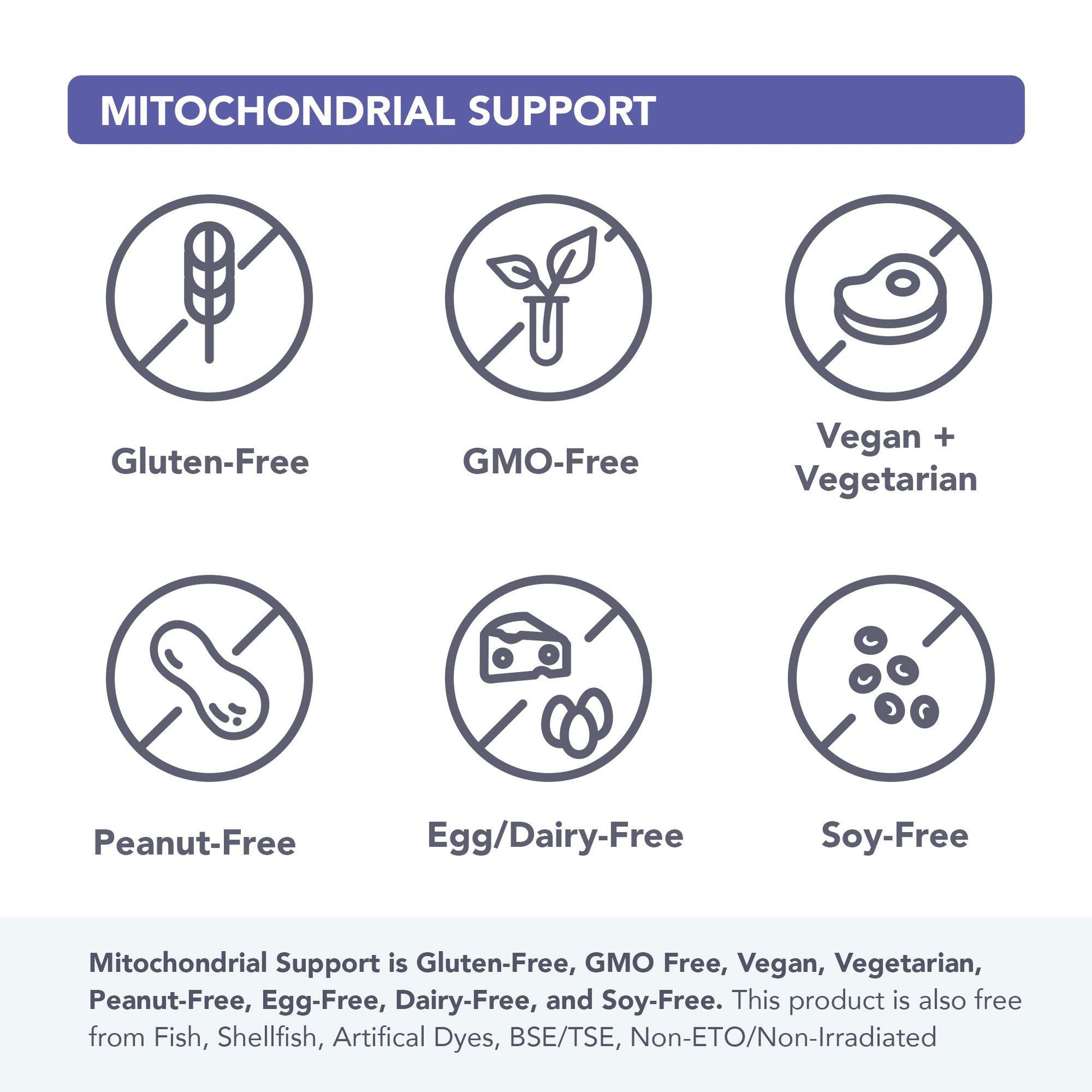 Mitochondrial Support - Vital Plan