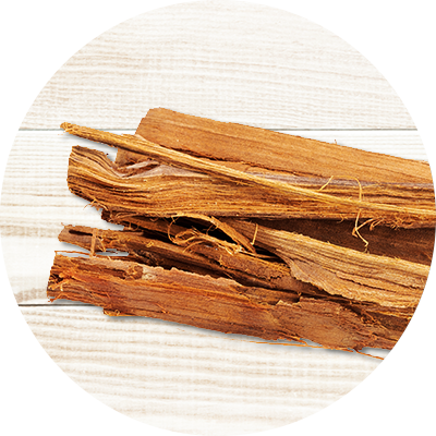 cats-claw-bark-nootropic-brain-health-circle - Vital Plan