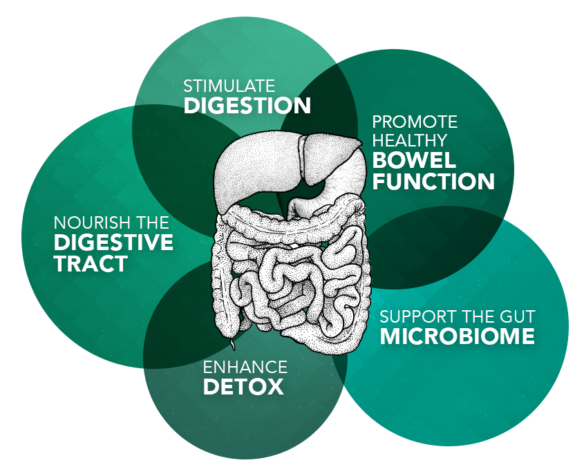 digestive-health-digestion-nourish-detox-microbiome-bowel-function - Vital Plan