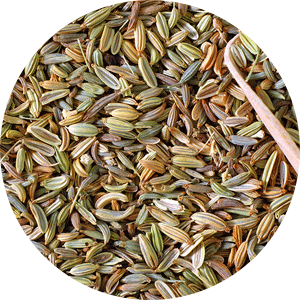 fennel-seed-herbal-digestive-support - Vital Plan