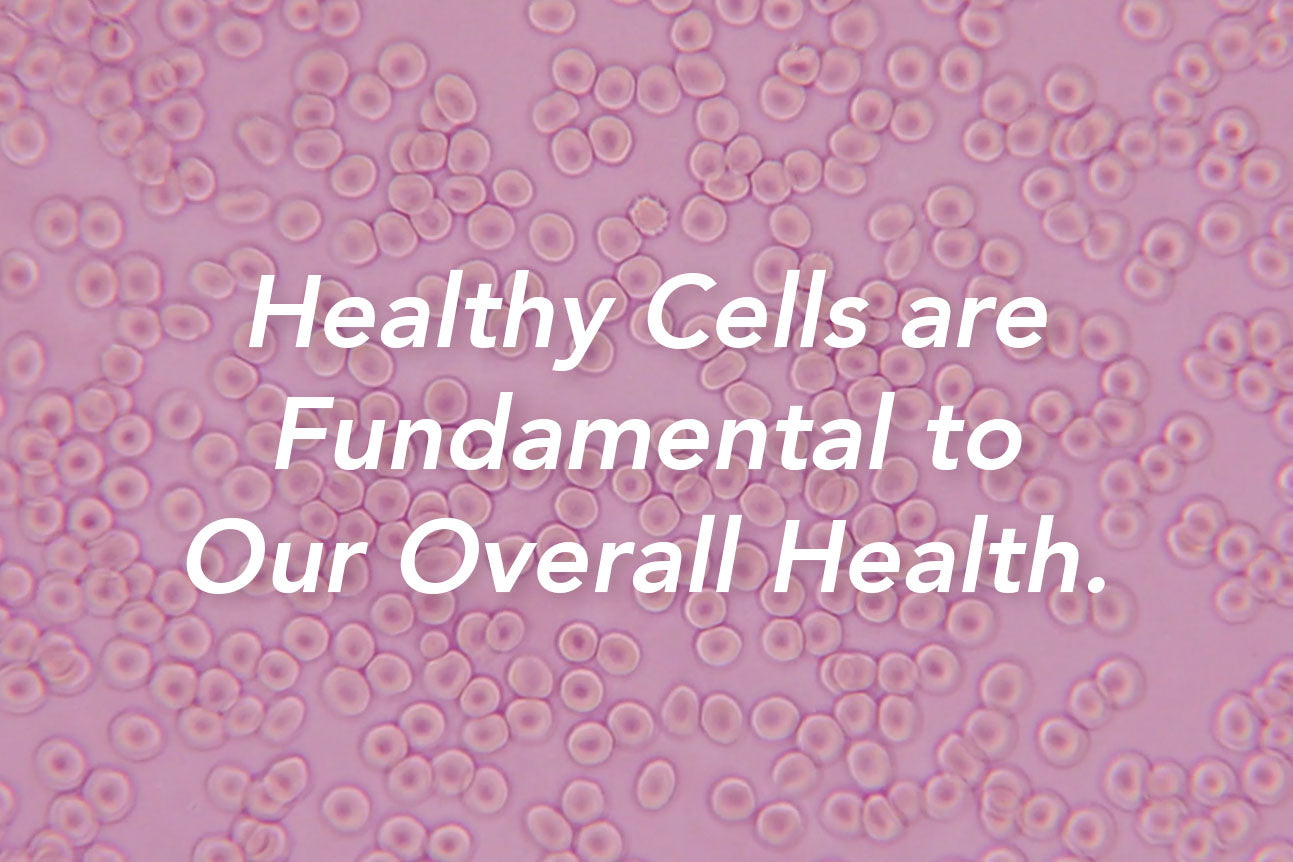 healthy_cells_are_fundamental - Vital Plan