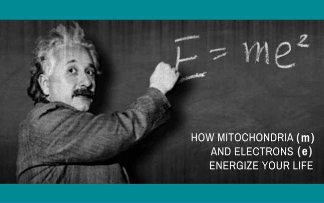E is for Energy! How Mitochondria and Electrons Energize Your Life